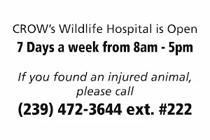 Clinic for the Rehabilitation of Wildlife (CROW) - Visitor Education Center image
