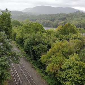 Elmwood Park - photo 86