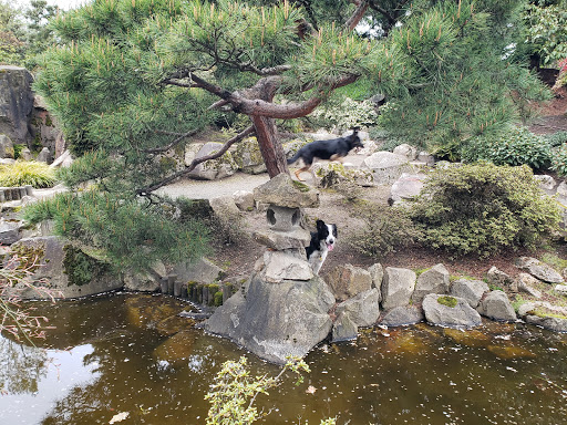 Community Center «SeaTac Community Center», reviews and photos, 13735 24th Ave S, SeaTac, WA 98168, USA