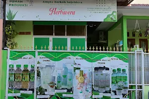 Herbavera Indonesia: Rumah Produksi Olahan Aloevera Lidah Buaya image