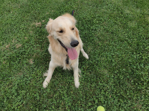 Golf Course «RiverWinds Golf & Tennis Club», reviews and photos, 270 Eagle Point Rd, West Deptford, NJ 08086, USA