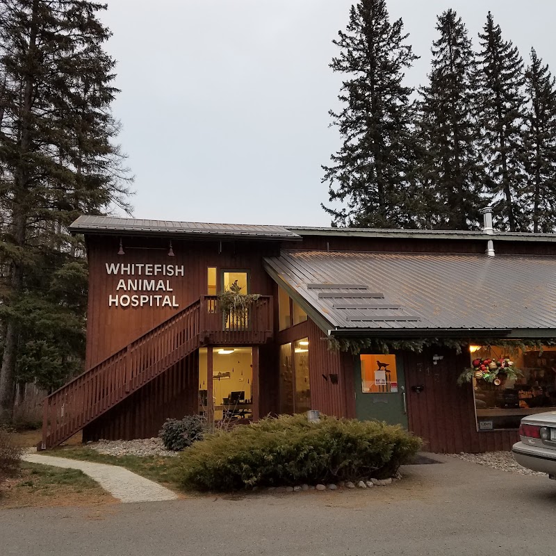 Whitefish Animal Hospital