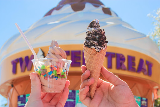Twistee Treat New Tampa Find Ice cream shop in El Paso news