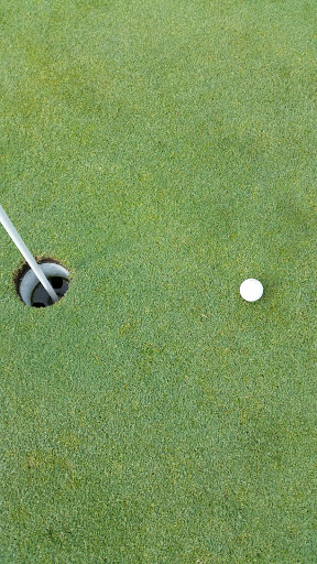 Country Club «Pebblewood Country Club», reviews and photos, 9794 Jericho Rd, Bridgman, MI 49106, USA