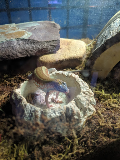 Pet Store «All About Pets LLC», reviews and photos, 52567 Columbia River Hwy, Scappoose, OR 97056, USA