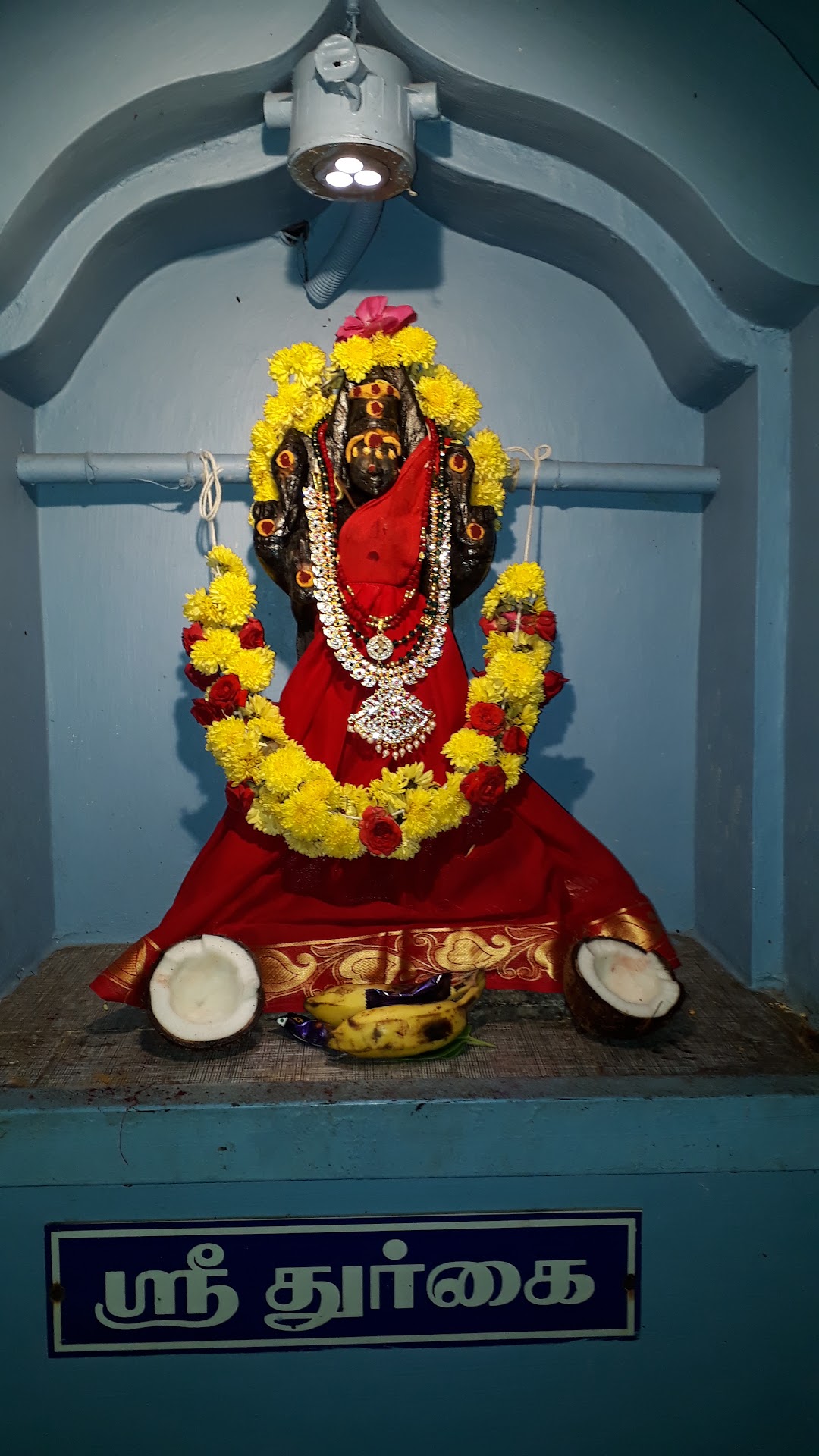 ஶ்ரீ நவசக்தி விநாயகர் ஆலயம், ஈஸ்வரன் நகர்
