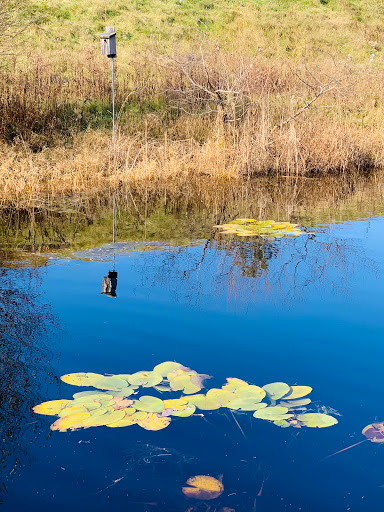 Park «NARA Park», reviews and photos, 25 Ledge Rock Way, Acton, MA 01720, USA