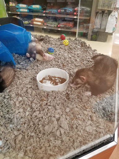 Pet Supply Store «Petco Animal Supplies», reviews and photos, 168 Ames Dr, Barre, VT 05641, USA