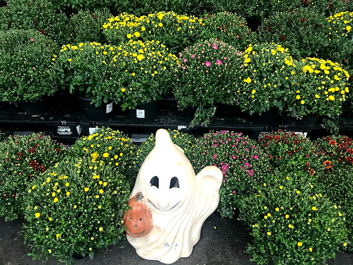 Supermarket «Wegmans», reviews and photos, 4287 Genesee Valley Plaza Rd, Geneseo, NY 14454, USA