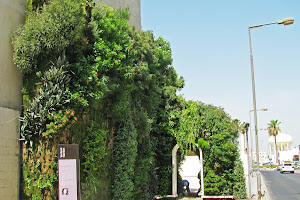 Vertical Garden image