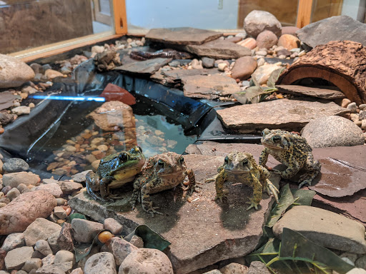 Nature Preserve «DeGraaf Nature Center», reviews and photos, 600 Graafschap Rd, Holland, MI 49423, USA