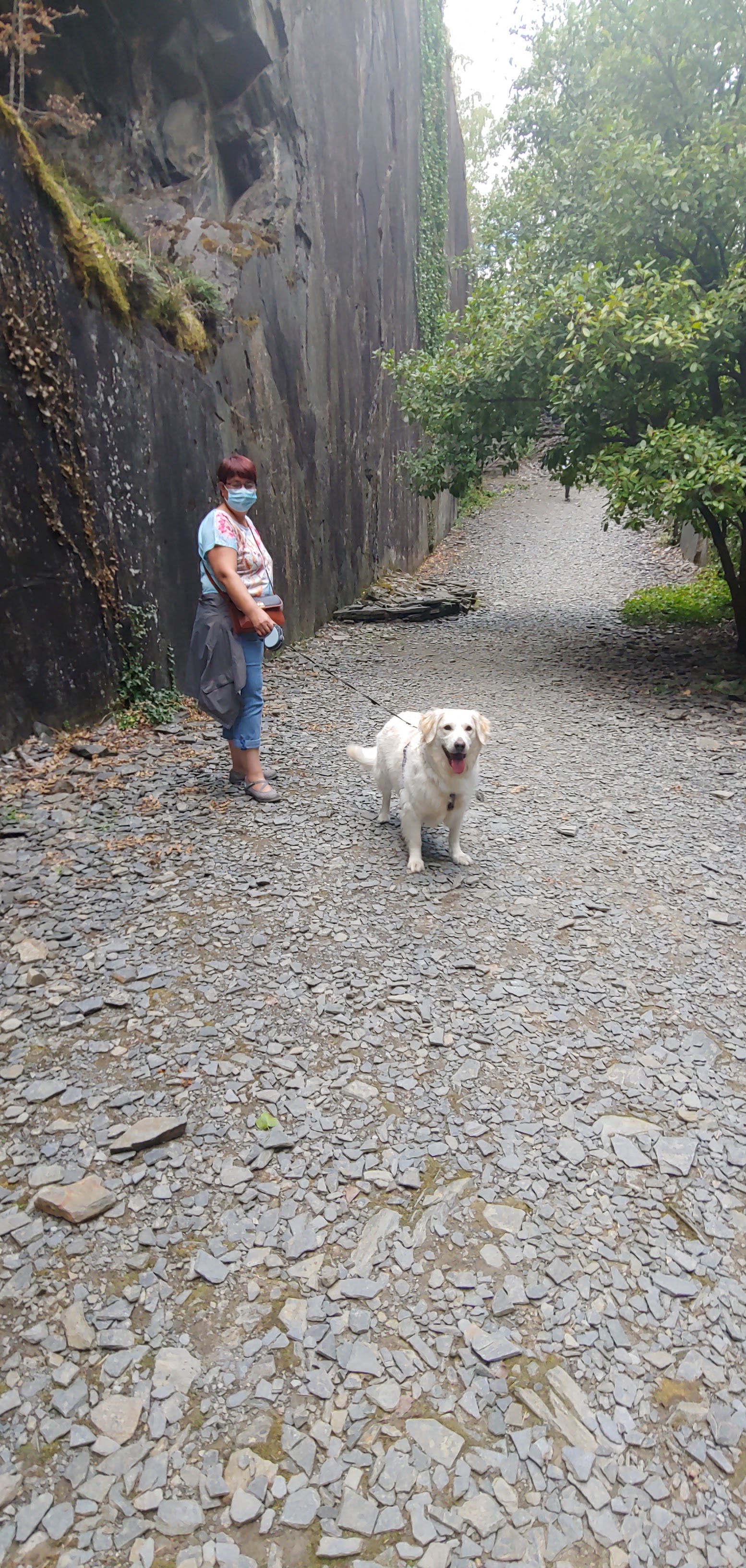 Photo n° 3 de l'avis de Tamara.l fait le 23/08/2020 à 19:15