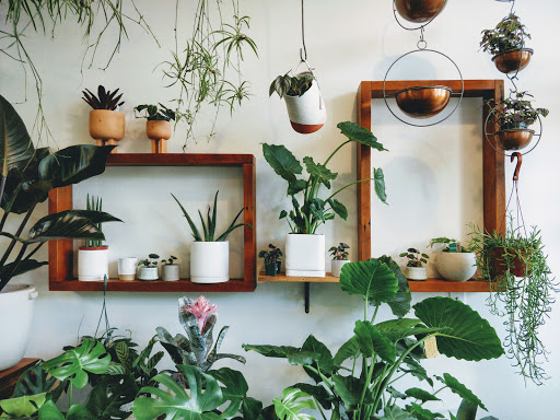 Florist «Starflower», reviews and photos, 3411 SE Belmont St, Portland, OR 97214, USA