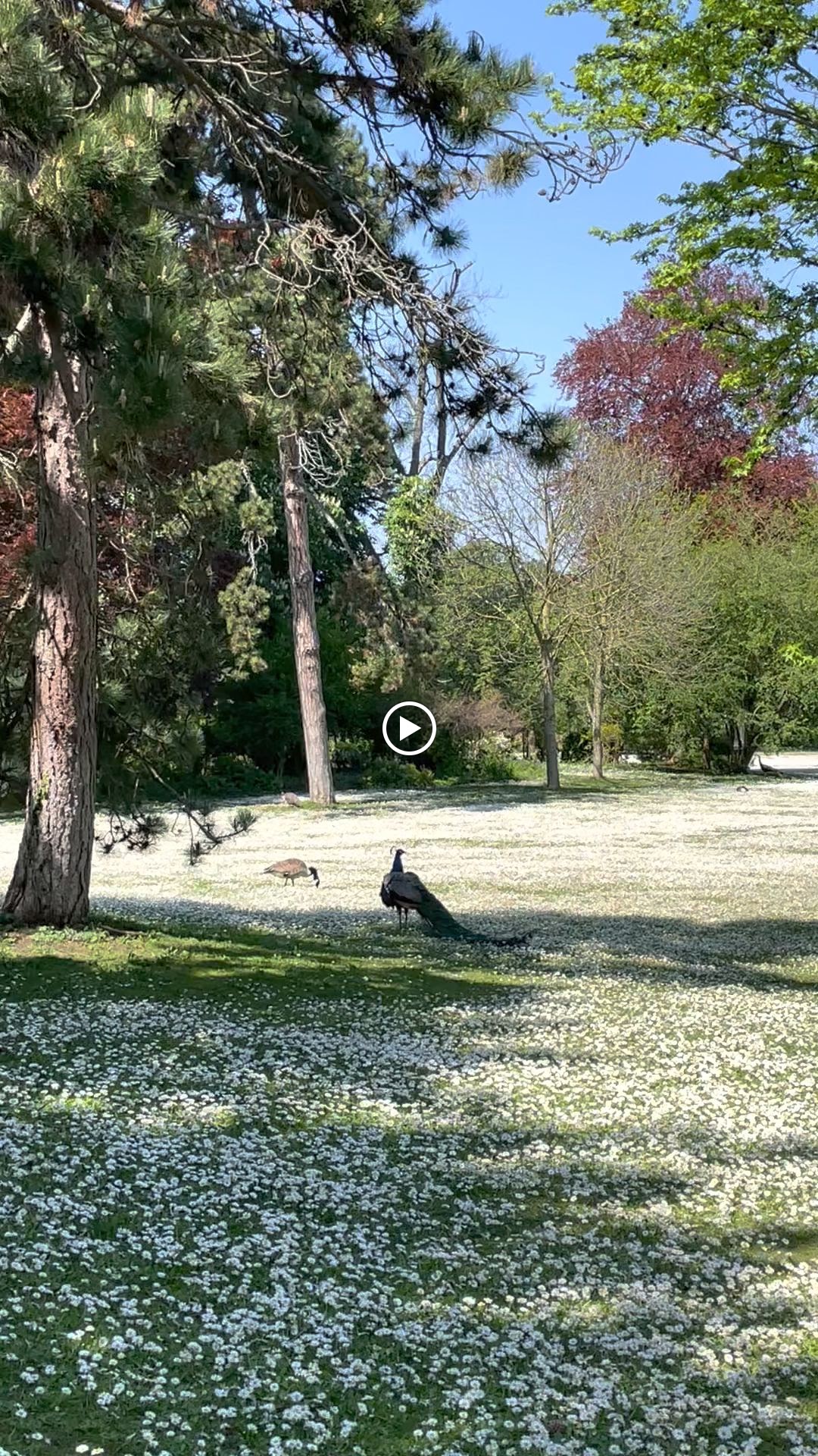 Photo n° 6 de l'avis de Clau.o fait le 02/05/2023 à 16:08