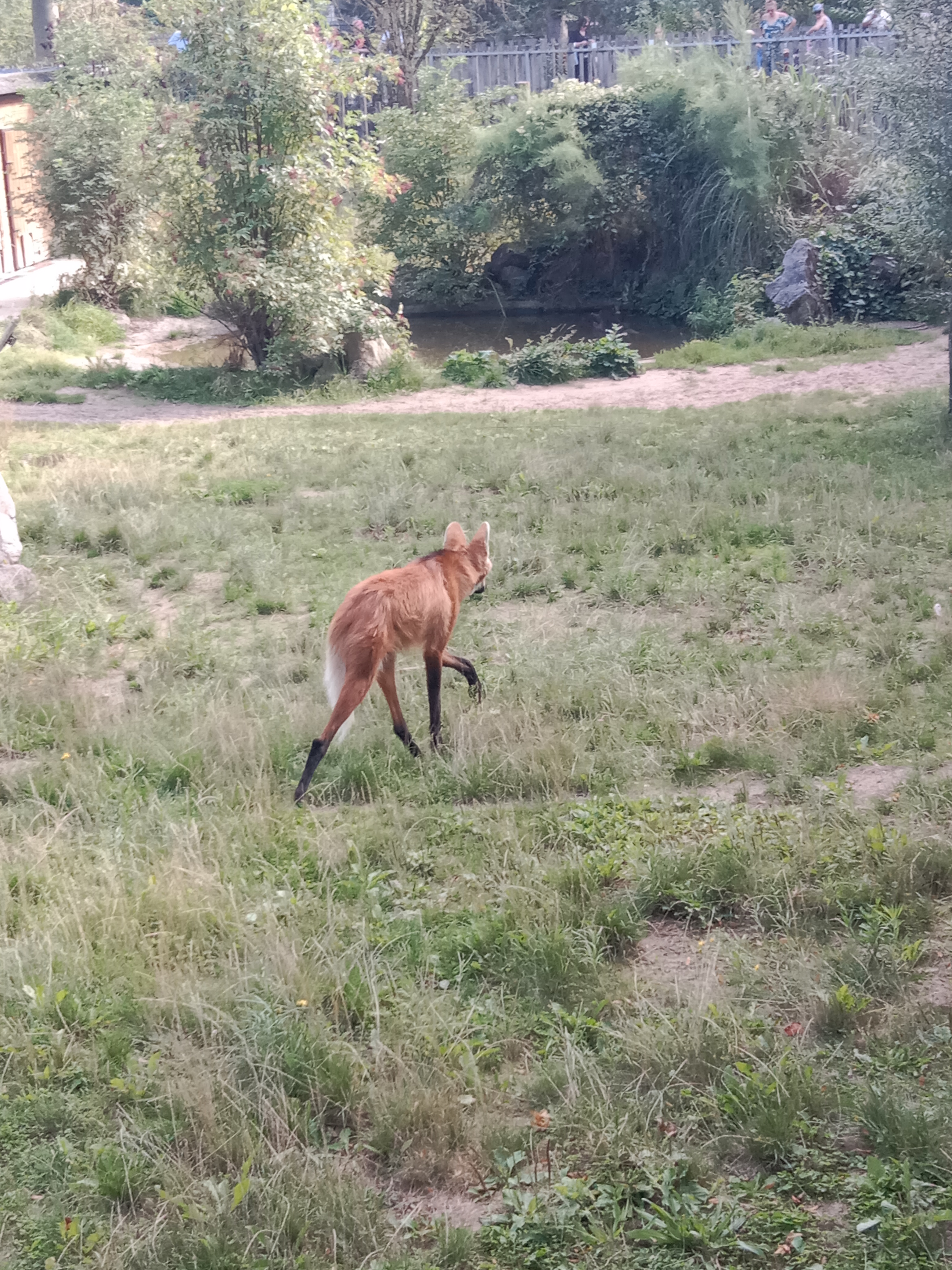 Photo n° 1 de l'avis de Sandrine.e fait le 10/08/2023 à 17:28