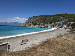 Scalosia beach'in fotoğrafı vahşi alan