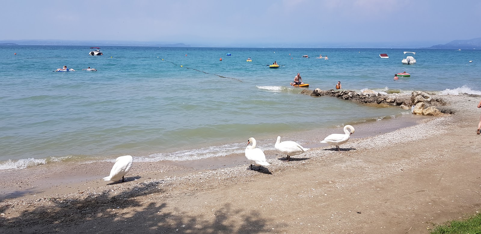 Foto di Spiaggia porto di Pacengo con una costa spaziosa