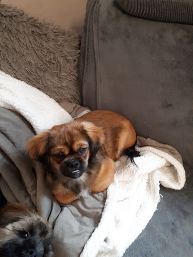 Dr.med.vet. Plesant Park unter Frankenberg (Eder), 