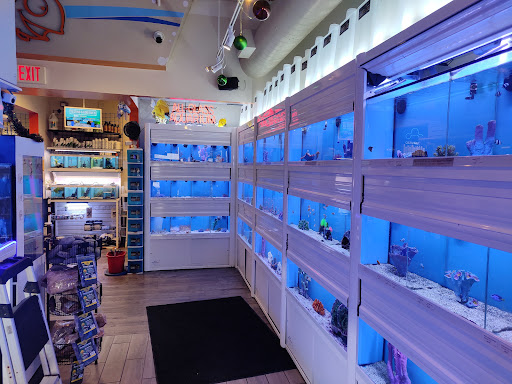 Tropical Fish Store «Fish Room», reviews and photos, 6119 Capital Blvd, Raleigh, NC 27616, USA