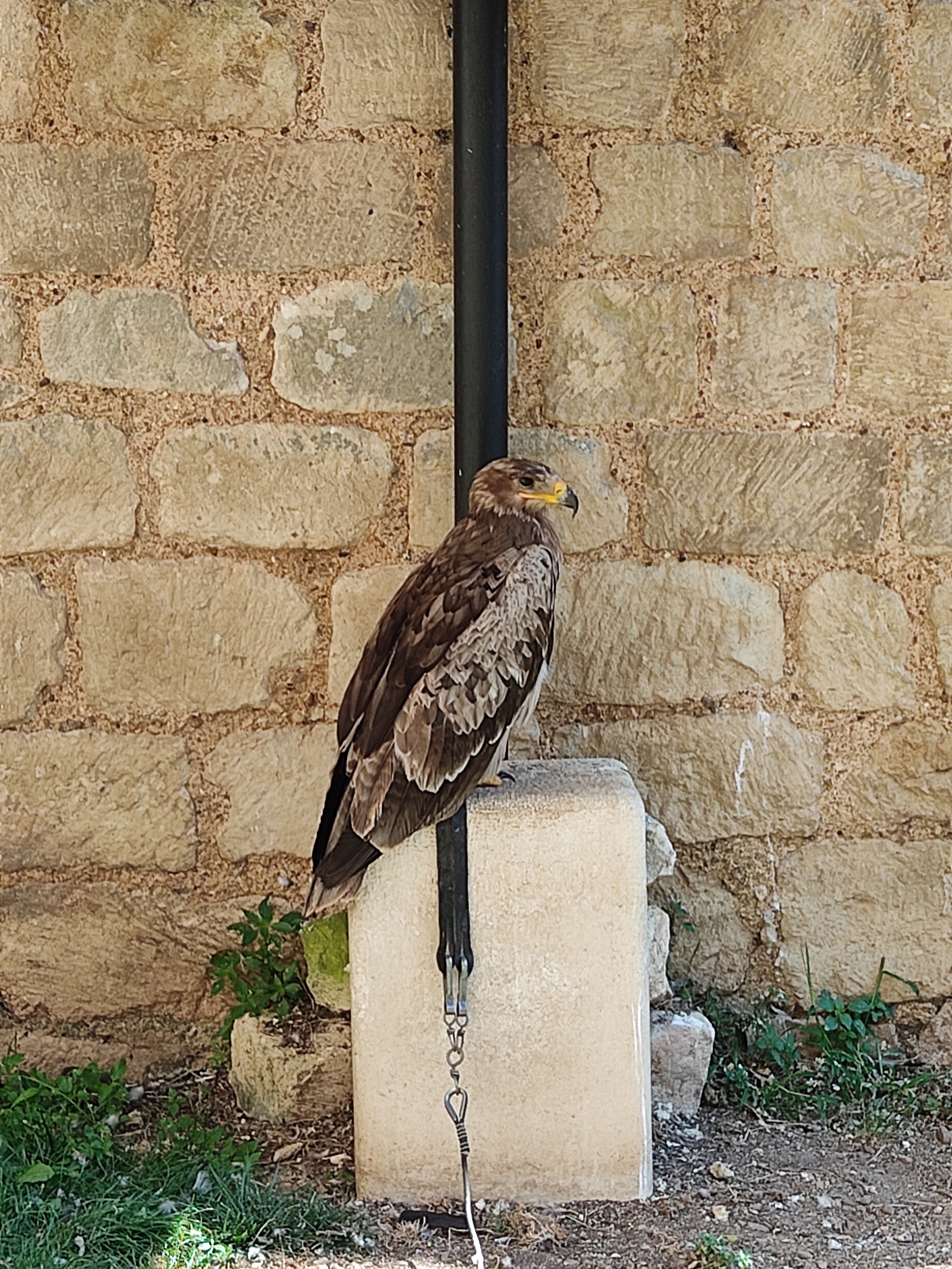 Photo n° 14 de l'avis de Zig.u fait le 25/08/2021 à 16:58