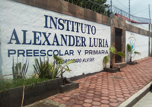 Instituto Alexander Luria