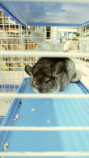 Pet Store «Salisbury Super Pet», reviews and photos, 329 Civic Ave, Salisbury, MD 21804, USA