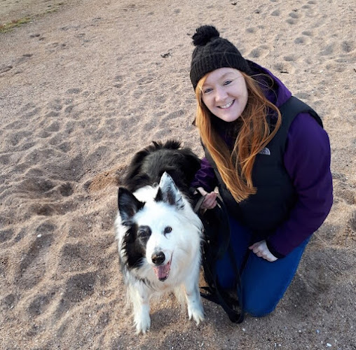 Reviews of Reach Your Pawtential in Glasgow - Dog trainer