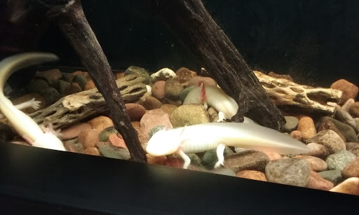 Science Museum «Discovery World», reviews and photos, 500 N Harbor Dr, Milwaukee, WI 53202, USA