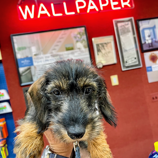 Wallpaper Store «Webster Wallpaper Paint & Blinds», reviews and photos, 2737 Webster Ave, Bronx, NY 10458, USA