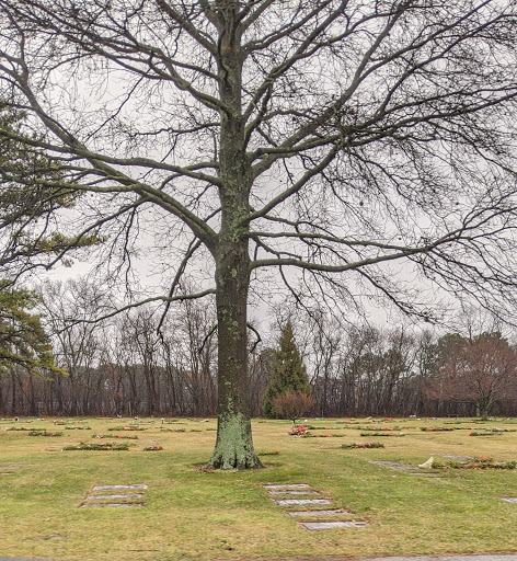 Memorial Park «Pinelawn Memorial Park and Garden Mausoleums», reviews and photos, 2030 Wellwood Ave, Farmingdale, NY 11735, USA