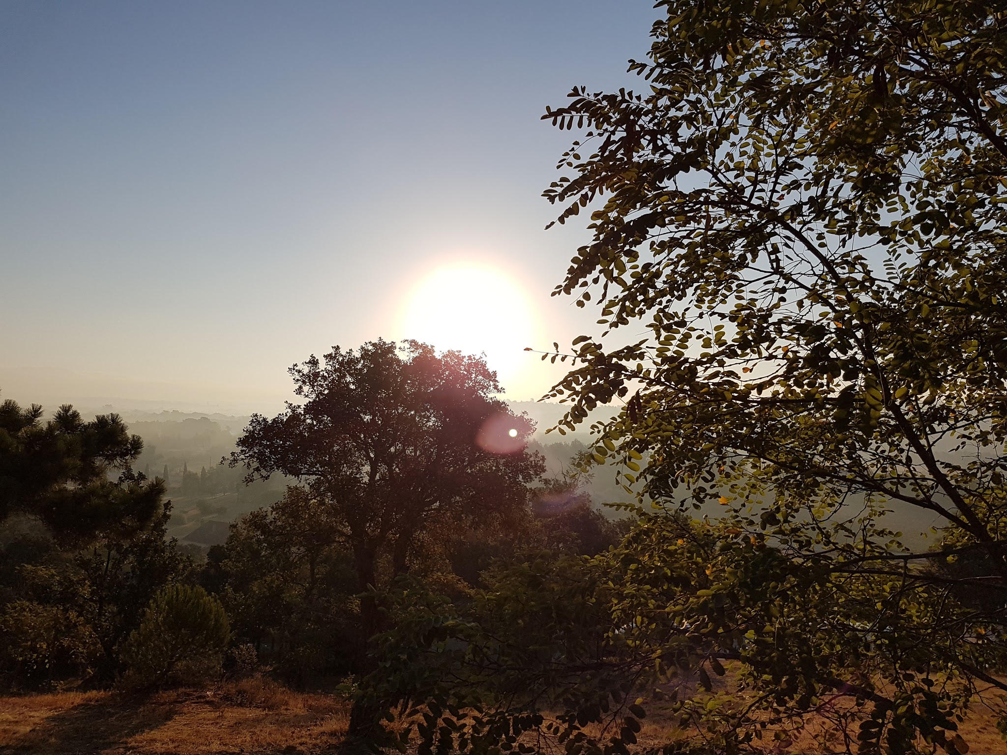 Photo n° 1 de l'avis de Patrick.z fait le 10/08/2017 à 05:35