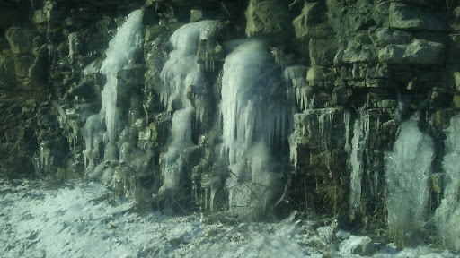 Discount Store «Dollar General», reviews and photos, 4805 Louisville Rd, Salvisa, KY 40372, USA