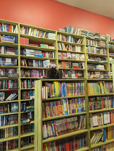 Recycle Bookstore image