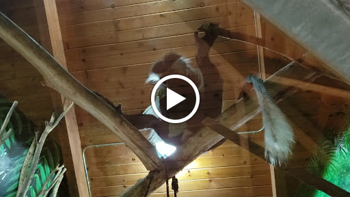 Zoo «Lake Superior Zoo», reviews and photos, 7210 Fremont St, Duluth, MN 55807, USA