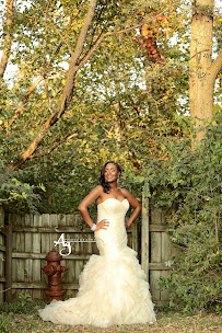 Ag Photography - Photo 9 - Car repair in St. Louis, MO, St. Louis