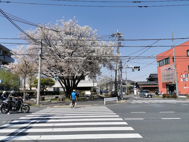 桜株公園