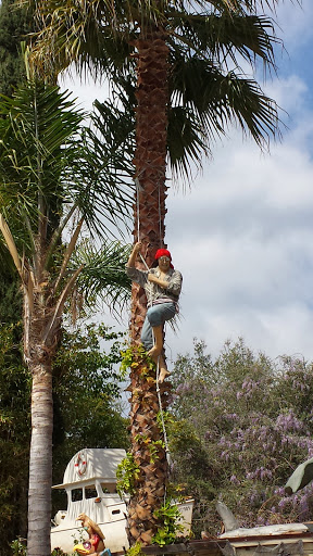 Produce Market «Topanga Creek General Store», reviews and photos, 141 S Topanga Canyon Blvd, Topanga, CA 90290, USA