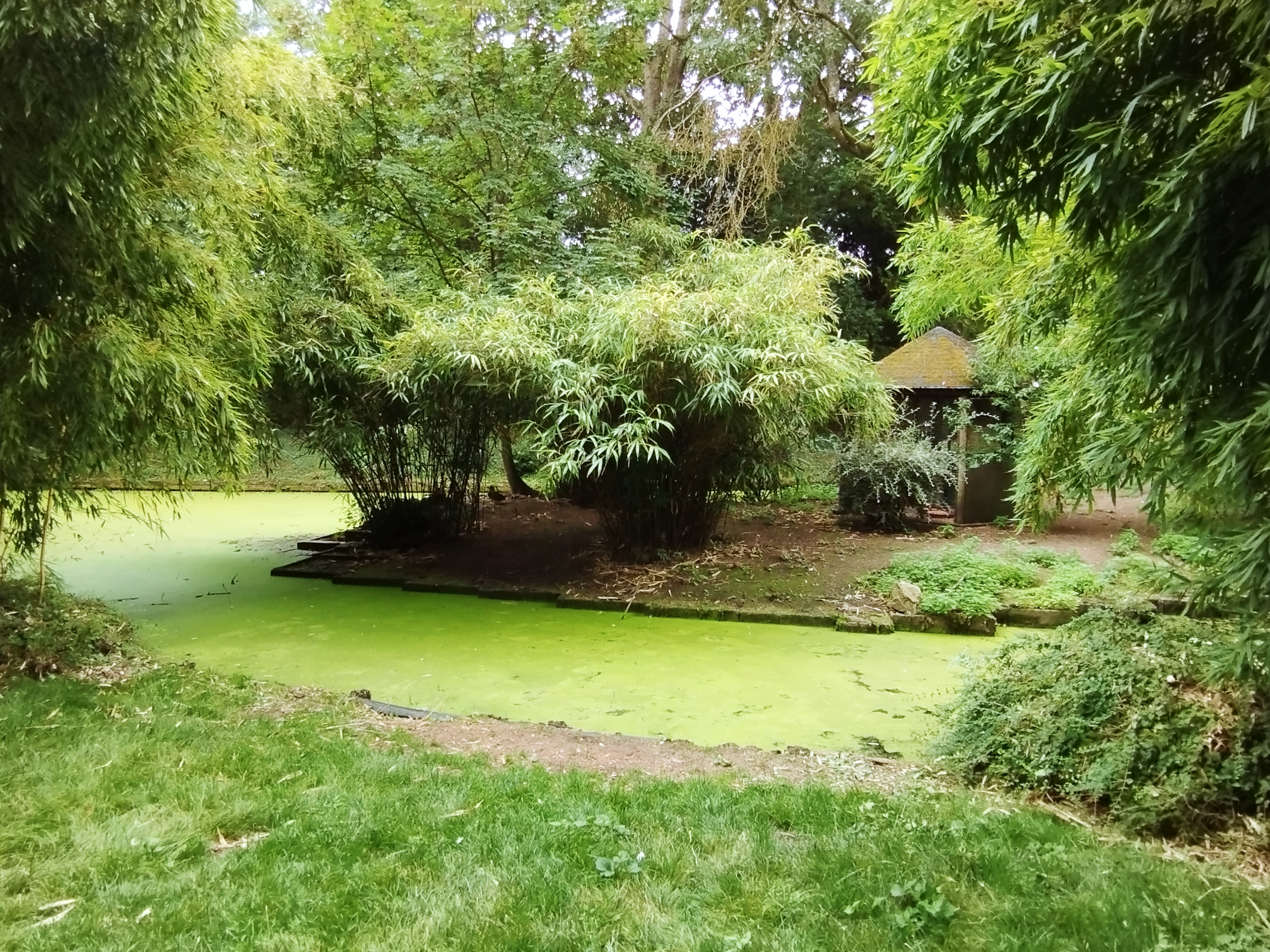 Photo n° 9 de l'avis de V. fait le 23/08/2022 à 18:25