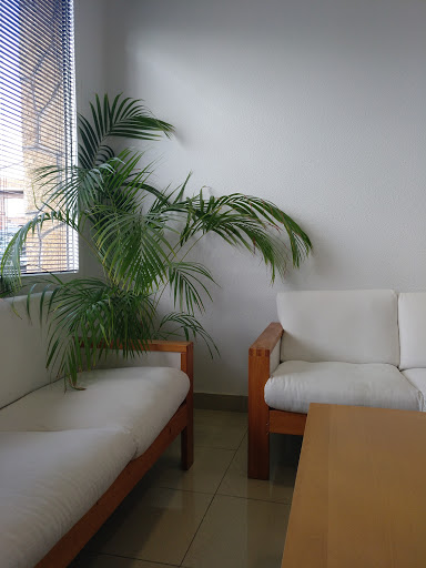 Isodental en Colmenarejo, Madrid