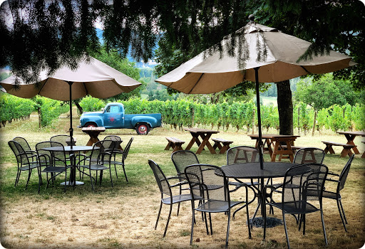 Vineyard «Tualatin Estate Vineyard», reviews and photos, 10850 NW Seavey Rd, Forest Grove, OR 97116, USA