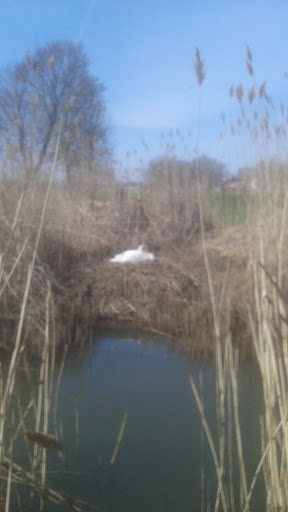 Golf Club «Winthrop Golf Club», reviews and photos, 453 Main St, Winthrop, MA 02152, USA