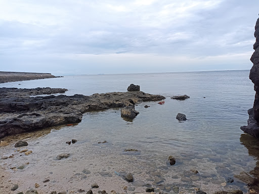 Top 20 cửa hàng akemi Huyện Lý Sơn Quảng Ngãi 2022