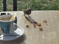 Café du Restaurant Le Coconuts à Anglet - n°1