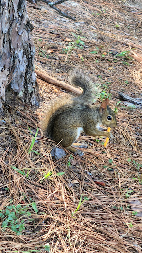 Park «McDade Park», reviews and photos, 3750 FM 2854 Rd, Conroe, TX 77304, USA