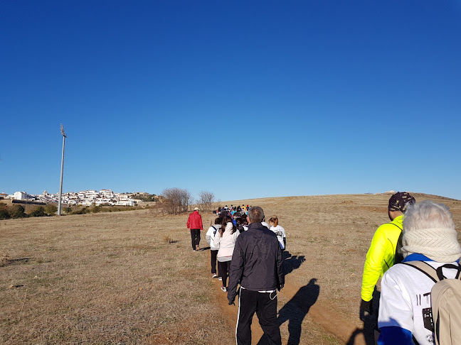 Avaliações doEstádio Municipal de Atletismo em Elvas - Campo de futebol