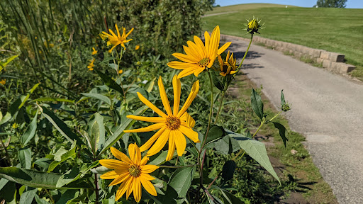Golf Club «Heritage Links Golf Club», reviews and photos, 8075 Lucerne Blvd, Lakeville, MN 55044, USA