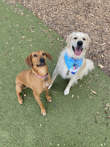 Park «Schappacher Park», reviews and photos, 4686 Old Irwin Simpson Rd, Mason, OH 45040, USA