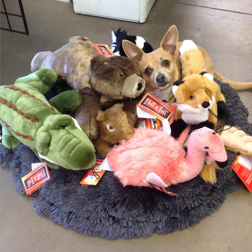 Pet Supply Store «Unleashed», reviews and photos, 1319 Military Cutoff Rd, Wilmington, NC 28405, USA