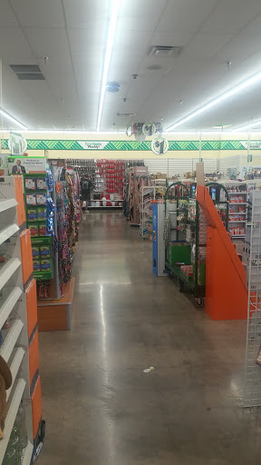 Dollar Store «Dollar Tree», reviews and photos, 5715 W Bell Rd, Glendale, AZ 85308, USA