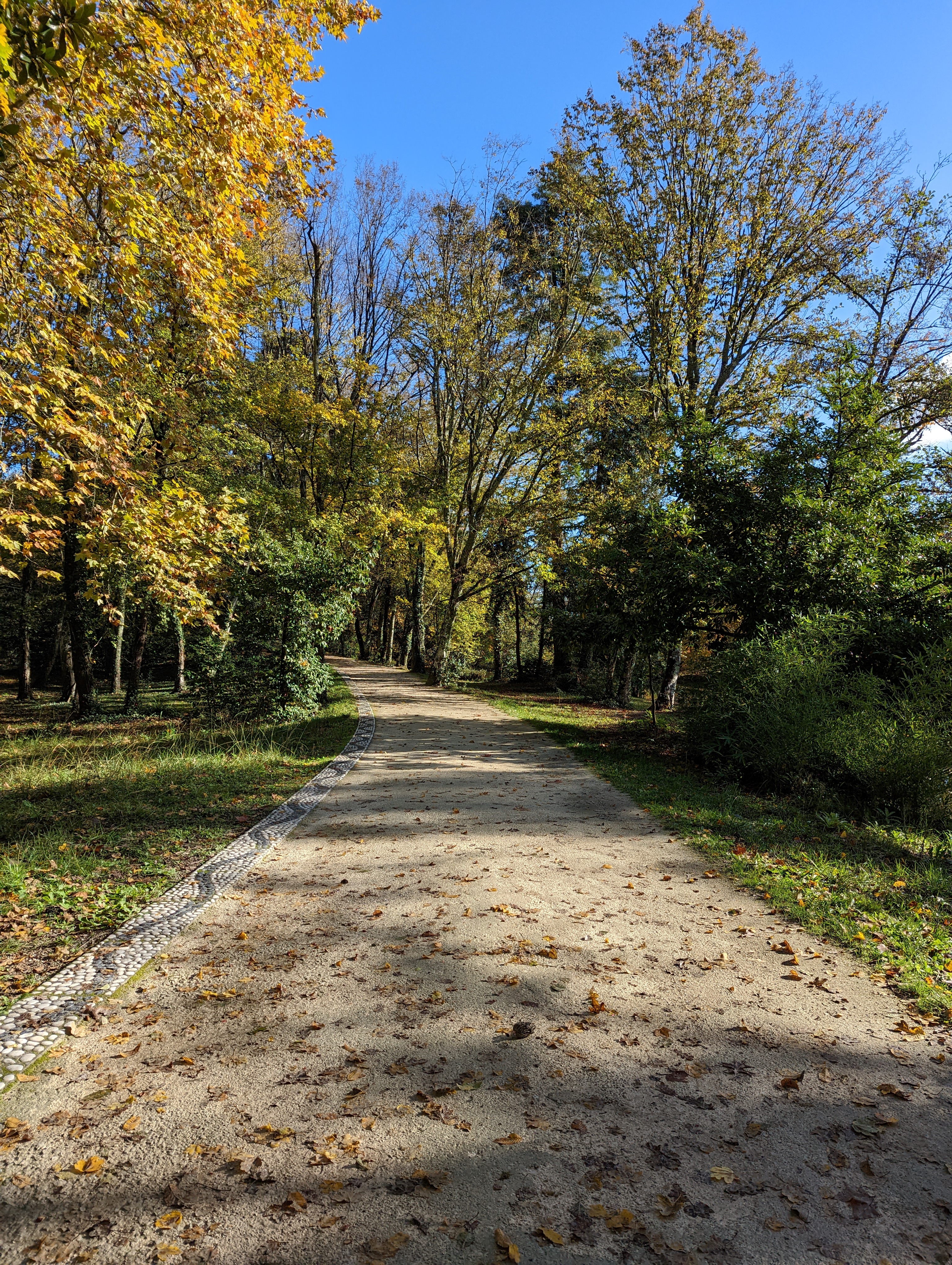 Photo n° 2 de l'avis de samia.a fait le 19/11/2022 à 20:54